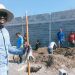 Obra voluntaria: Extranjeros levantan refugio para migrantes
