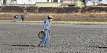 Sequía acecha en el Edomex; Cutzamala se reduce casi un 5%