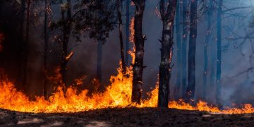 Tras incendio de hace 2 años, Mercado de La Merced sólo ha recibido 45% del seguro