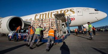 Alistan exportación de aguacate de Jalisco a Estados Unidos