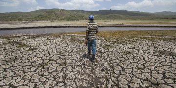 Castiga sequía a afromexicanos que viven en costas de Guerrero y Oaxaca