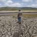 Castiga sequía a afromexicanos que viven en costas de Guerrero y Oaxaca