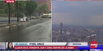CDMX: Se registran 29 reportes al día por delitos cibernéticos como acoso y fraude