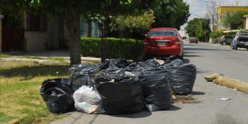 Encuentran bolsas de basura con restos humanos en Veracruz