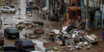 Fuertes lluvias en la CDMX causan estragos: hay caída de árboles, bardas y choques | FOTOS Y VIDEO