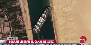 Logran liberar a 12 ballenas que se quedaron en redes pesqueras