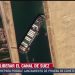 Logran liberar a 12 ballenas que se quedaron en redes pesqueras