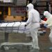 Muertes por COVID-19 superan las previsiones