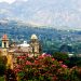 ¡No solo Tepoztlán! Bosque de la Primavera en Guadalajara también se está quemando | VIDEO