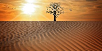 Onda de calor: Estos son los estados que tendrán altas temperaturas en el país