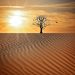 Onda de calor: Estos son los estados que tendrán altas temperaturas en el país