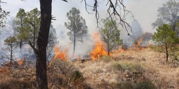 Reportan incendio forestal en Sierra de Santiago de Nuevo León