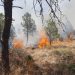 Reportan incendio forestal en Sierra de Santiago de Nuevo León