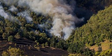 Brigadistas atienden 20 incendios forestales en Xochimilco, Tlalpan, Milpa Alta y Magdalena Contreras