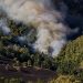 Brigadistas atienden 20 incendios forestales en Xochimilco, Tlalpan, Milpa Alta y Magdalena Contreras
