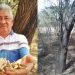 Campesinos preparan rescate del mezquite, árbol sagrado del Istmo de Tehuantepec