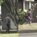 Disparan en contra de un hombre en bar a unos metros de Palacio de Gobierno de Colima