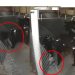 Edomex: Captan a sujetos robando paraguas en centro de Metepec | VIDEO
