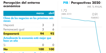 Especialistas estiman que quedan sólo 8 vaquitas marianas en México, ¿por qué?