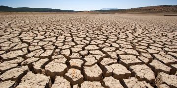 Falta de lluvia: El 75% de México está en sequía