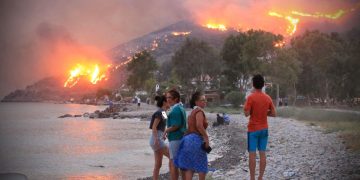 Incendio en “El Cielo” lleva 21 días; 100 hectáreas han sido arrasadas por el fuego en Tamaulipas