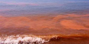 Marea roja tóxica invade las playas de Manzanillo