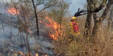 Registran 64 incendios en el primer trimestre del año en Naucalpan