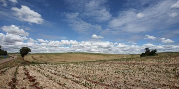 Sequía golpea a Coahuila; presas están en niveles críticos