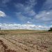 Sequía golpea a Coahuila; presas están en niveles críticos