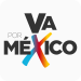 Va por México denunció ante la ONU a Morena por decirle traidora a la patria