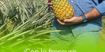 Apoyamos como nunca a las y los pequeños productores del campo sonorense: gobernador Alfonso Durazo