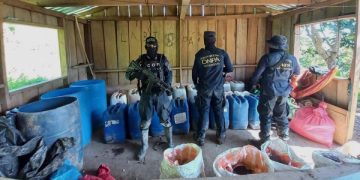 Desmantelan narco laboratorios en Tumbiscatío, Michoacán