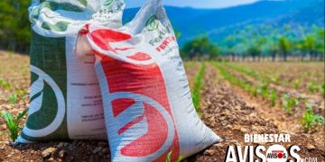Fertilizantes para el Bienestar refrenda su apoyo a productores de Guerrero