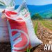 Fertilizantes para el Bienestar refrenda su apoyo a productores de Guerrero