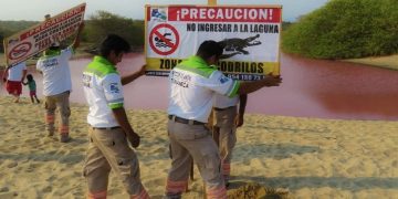 Peligra ecosistema: La Laguna Escobilla ahora es rosa