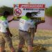 Peligra ecosistema: La Laguna Escobilla ahora es rosa