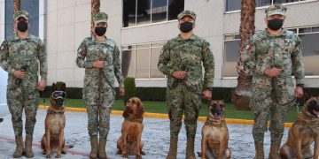 Binomios caninos del ejército se unen a búsqueda de personas desaparecidas en Oaxaca