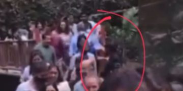 Brincó, se cayó el puente y quedó colgado: el hombre que roba la atención en redes tras desplome en Cuernavaca