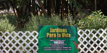CDMX logra 82% de meta en reducción de emisiones 