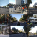 CDMX: Primer paseo para ADOPCION de perritos y gatitos; conoce dónde y cuándo