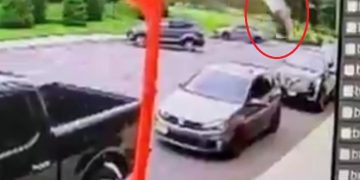 Conductor pierde el control e impacta contra el Ahuehuete de la antigua Glorieta de La Palma
