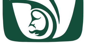 El IMSS y la CANACINE forjan lazos para promover la incorporación de personas trabajadoras