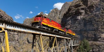 En San Mateo Atenco, crían conejos gigantes