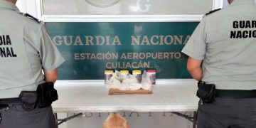 Guardia Nacional localiza nueva toma clandestina en Ajacuba 
