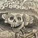 “La Catrina” dejó la escuela para “juntarse con los lacras”; la muerte la alcanzó en una emboscada contra el CJNG