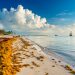 Quintana Roo demuestra gran resiliencia en el sector económico