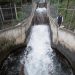 Recuperación de Cutzamala por lluvias será paulatina: Conagua
