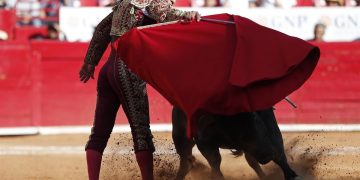 Suspenden corridas de toros en la Plaza México; 5 estados donde está prohibida la fiesta brava