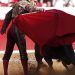Suspenden corridas de toros en la Plaza México; 5 estados donde está prohibida la fiesta brava