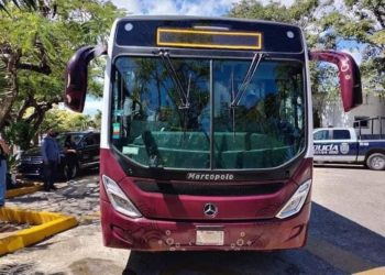Renuevan transporte público de Cancún